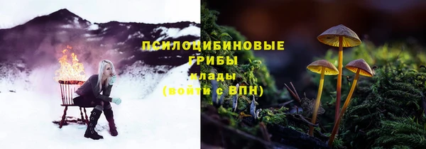 герыч Алзамай