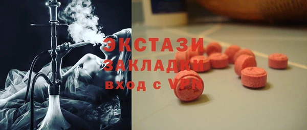 СК Алексин