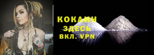 ПСИЛОЦИБИНОВЫЕ ГРИБЫ Абаза