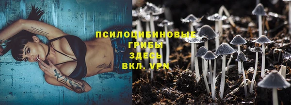 соль ск Абинск