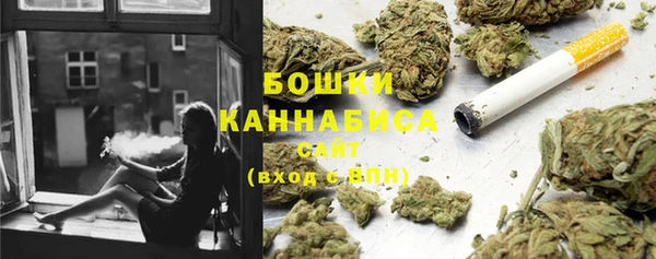 ПСИЛОЦИБИНОВЫЕ ГРИБЫ Абаза